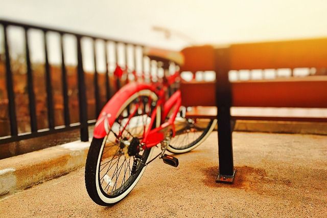 Dia mundial de la bicicleta