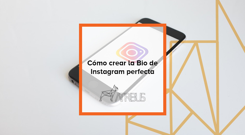 Crear la bio perfecta de Instagram